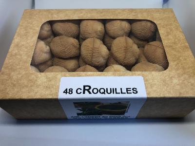 CRoquilles à garnir - Boite de 48