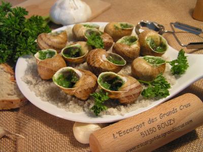 Assiette de 12 escargots en coquille