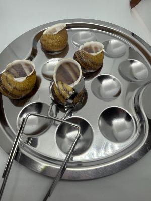 Assiette à escargots 12 trous inox